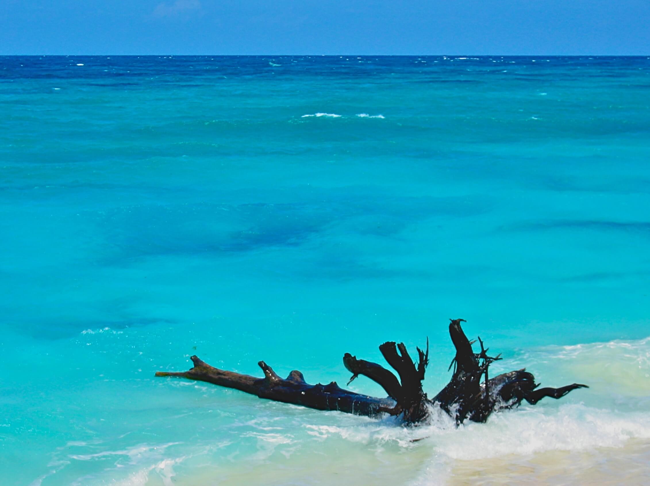 Ah ce bleu turquoise... A votre avis : Seychelles ou Maldives ? Cela pourrait être les 2... Réponse : les Seychelles.