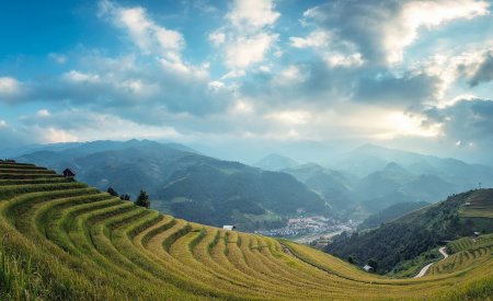 L'agriculture à Bali