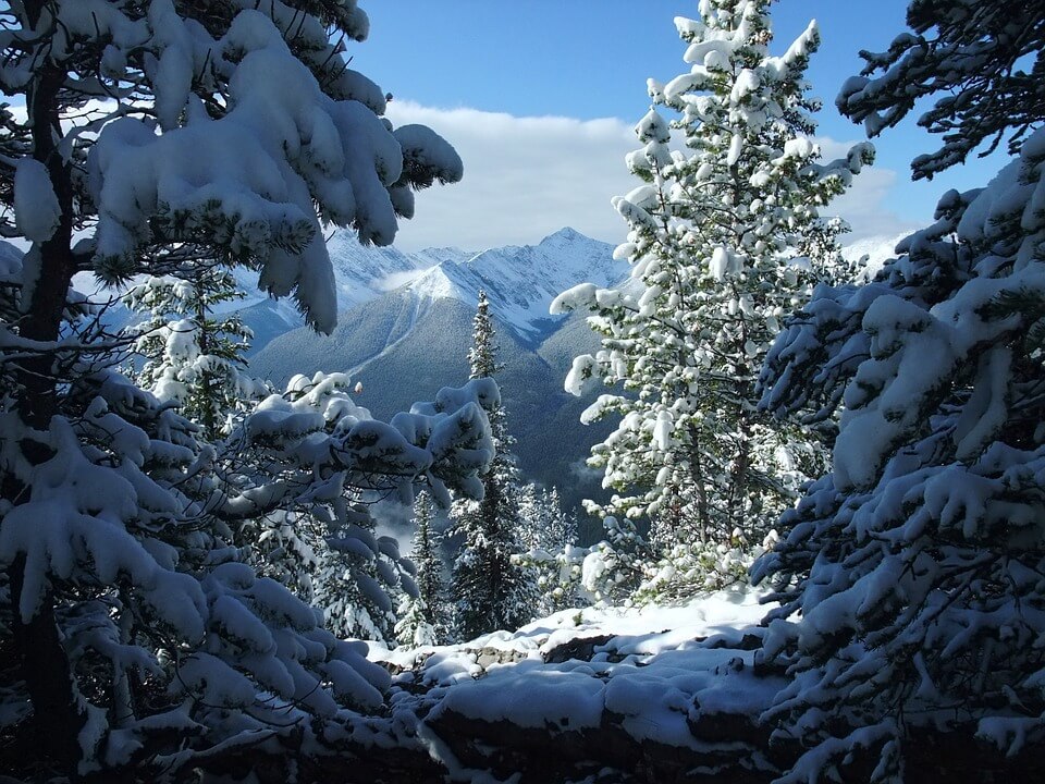 Le Parc National de Banff sous la neige