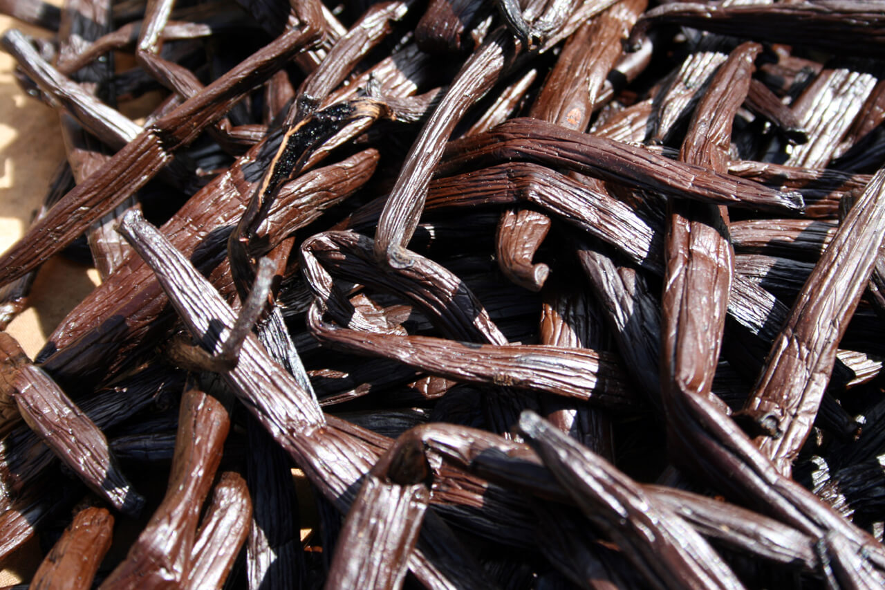 Polynésie française La vanille - Les îles françaises d'outre-mer : où et quand partir pour les vacances ?