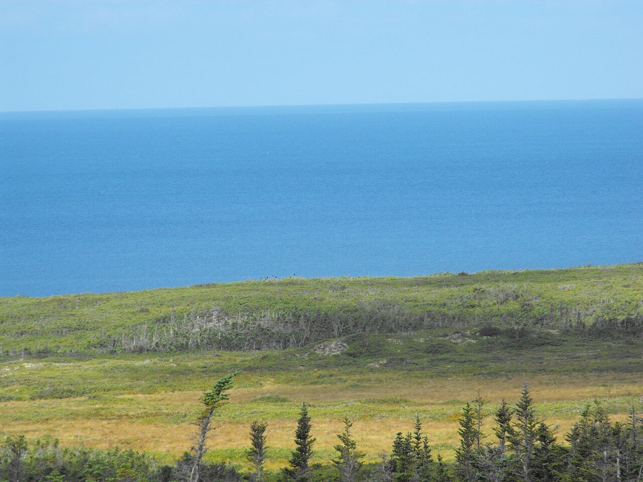 Saint Pierre et Miquelon Paysage sauvage - Les îles françaises d'outre-mer : où et quand partir pour les vacances ?