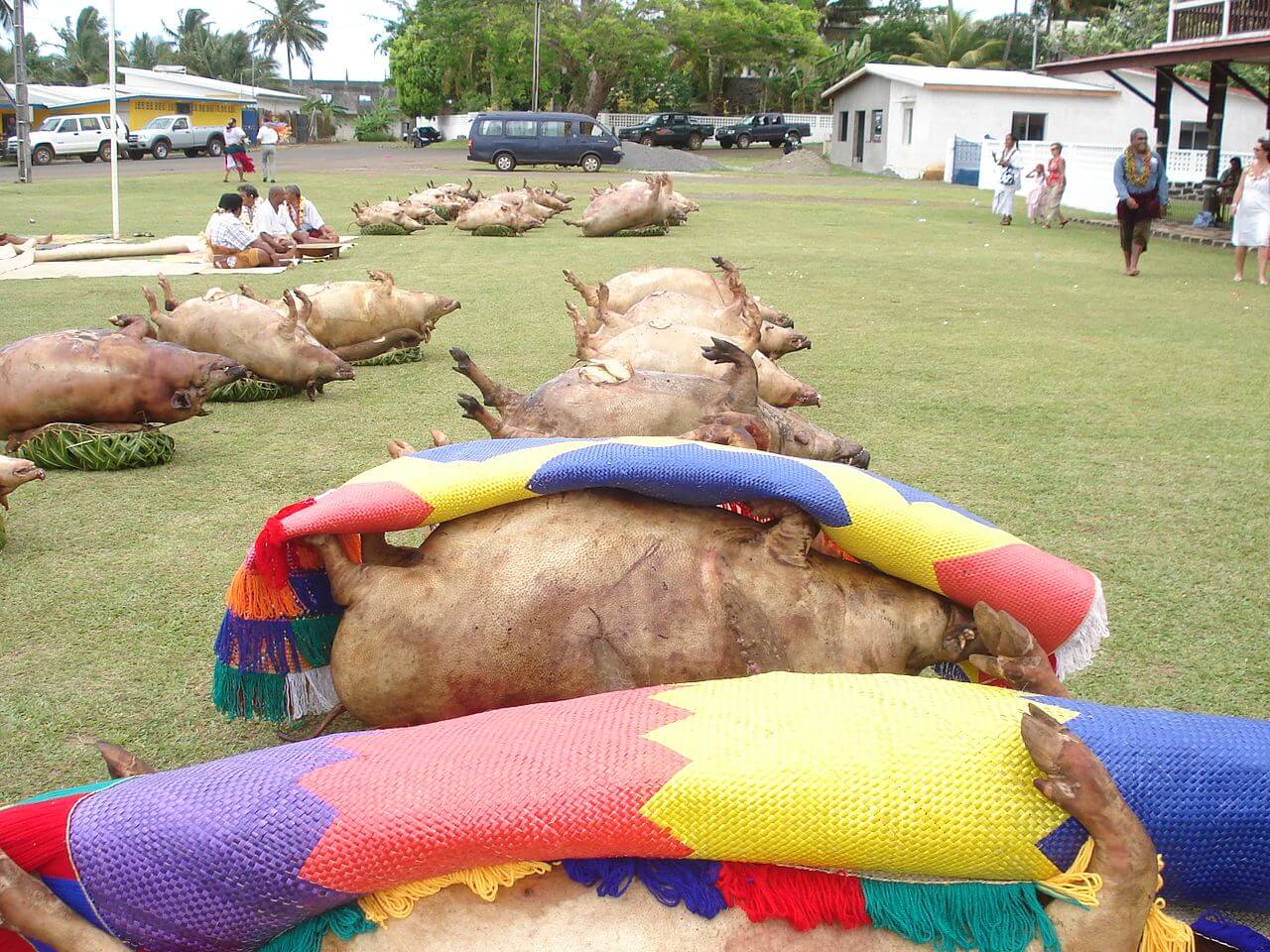 Wallis et Futuna Cérémonie du Katoaga à Mata Utu - Les îles françaises d'outre-mer : où et quand partir pour les vacances ?