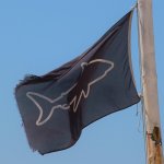 Animaux Dangereux en Australie attention aux requins - Animaux Dangereux en Australie : faut-il avoir peur d'aller en Australie ? La réponse est Non, mais soyez prudent...