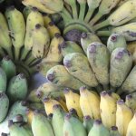 Bananes Cambodge - Quels fruits trouve-t-on au Cambodge et à quelles saisons ?