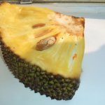 Jaquier - Quels fruits trouve-t-on au Cambodge et à quelles saisons ?