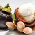 Mangoustan Cambodge - Quels fruits trouve-t-on au Cambodge et à quelles saisons ?