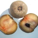 Sapotille - Quels fruits trouve-t-on au Cambodge et à quelles saisons ?