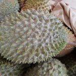 durian Cambodge - Quels fruits trouve-t-on au Cambodge et à quelles saisons ?