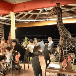 La Savane Basse Terre - Que faire sur l'île de Basse-Terre en Guadeloupe ? 18 incontournables Nature, Plages, Musées, Restaurants et Visites