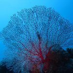 Nouvelle Calédonie Destination paradisiaque - 20 destinations paradisiaques aux quatre coins du globe