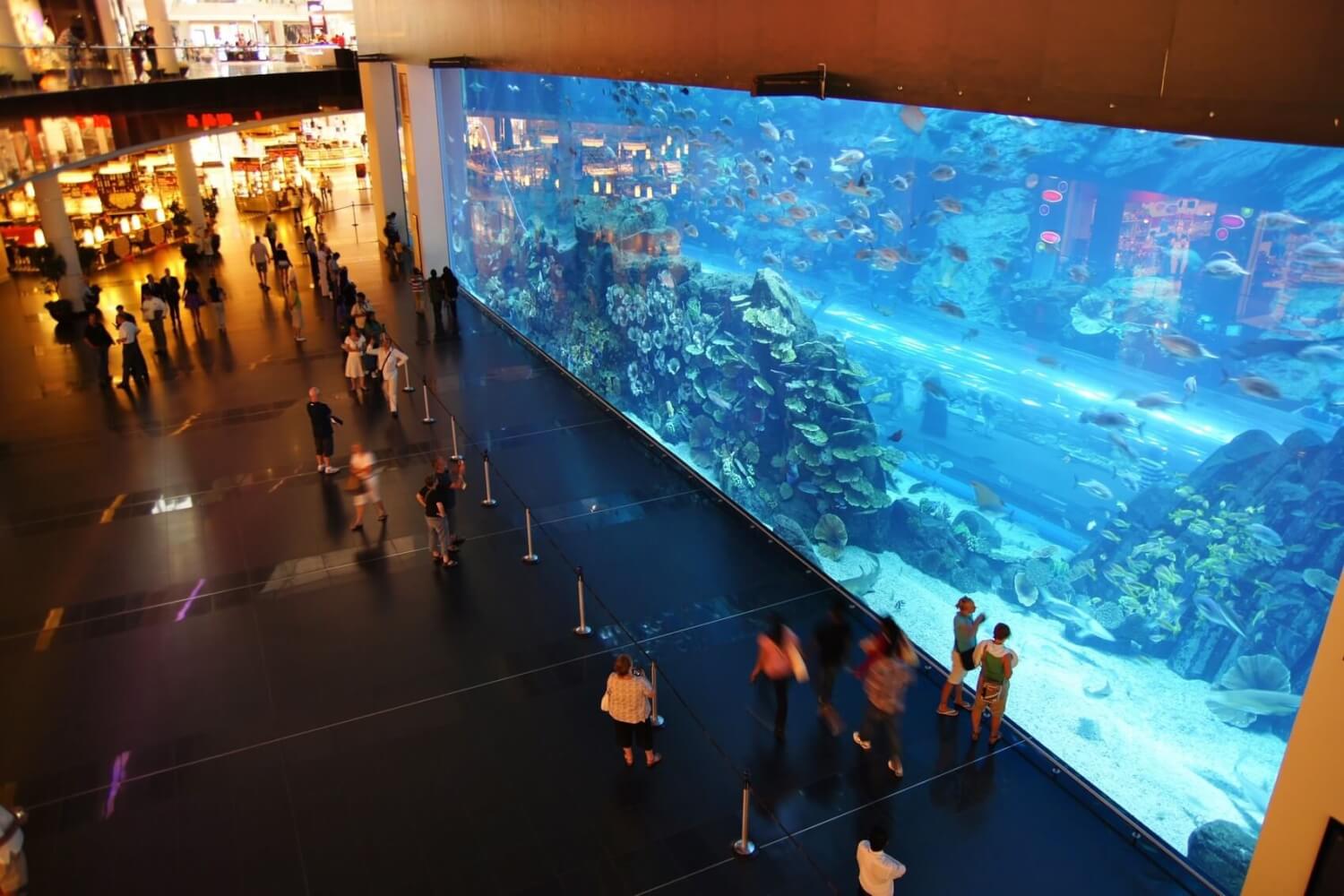 aquarium dubai