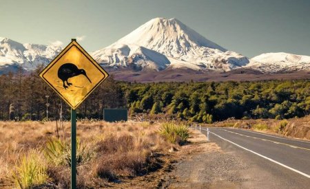 route néozélandaise panneau kiwi animaux nouvelle zelande