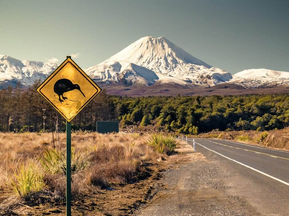 route néozélandaise panneau kiwi animaux nouvelle zelande