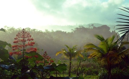 saison des pluies en guyane