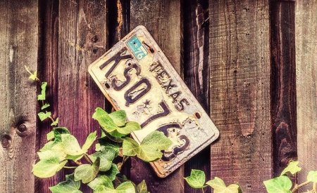 plaque immatriculation texas