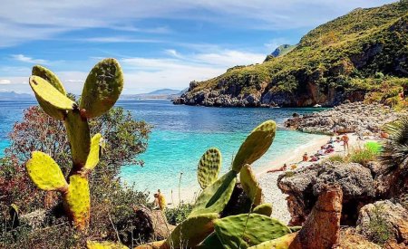 plage soleil cactus réserve naturelle du Zingaro