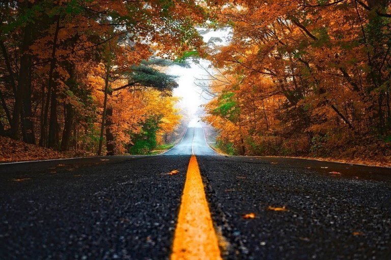 route automne feuilles arbres organiser un road trip