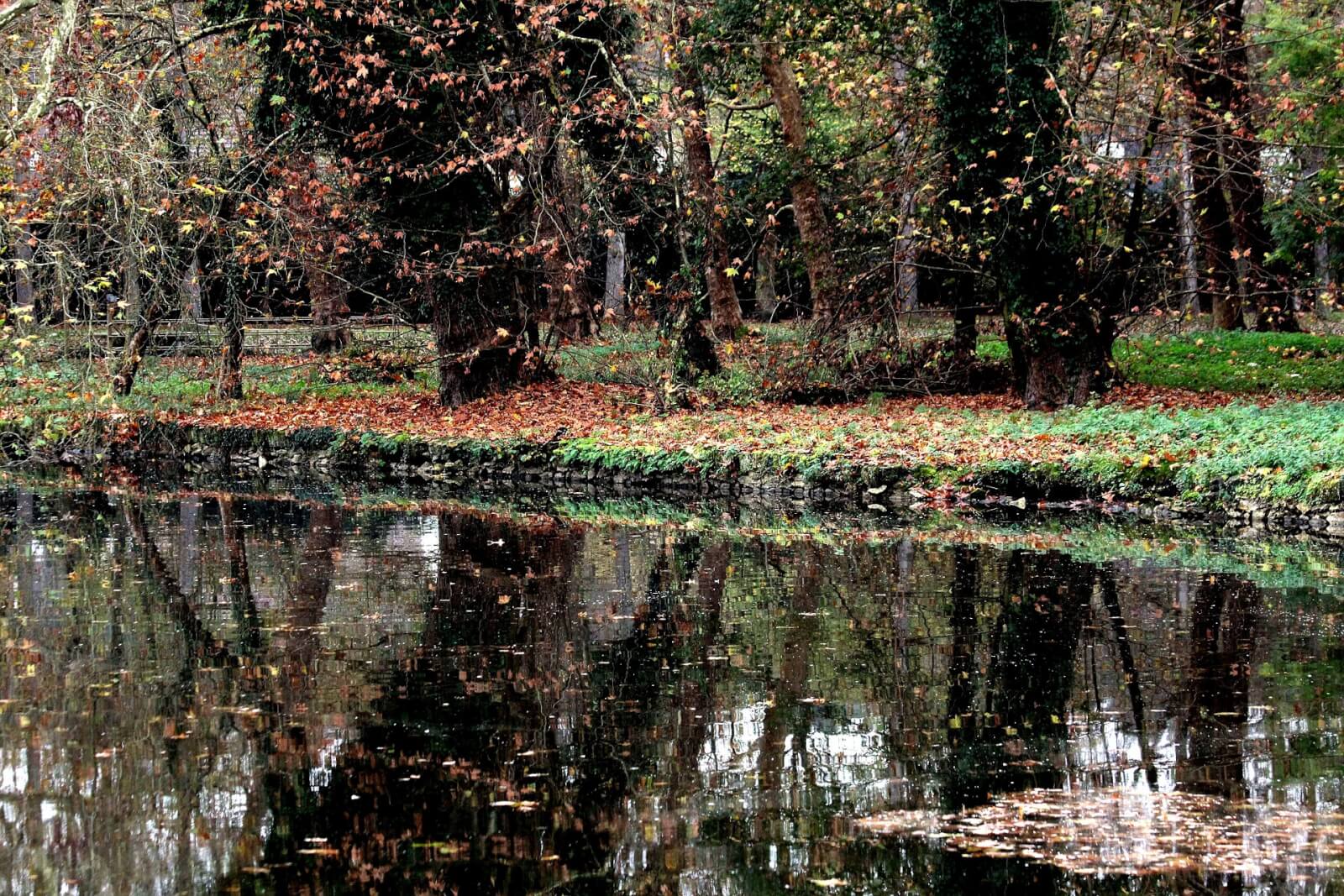 Idée destination week-end autour de Paris : une ville à 1h de Paris en voiture 4 forest 4929903 1920 - Idée destination week-end autour de Paris : une ville à 1h de Paris en voiture