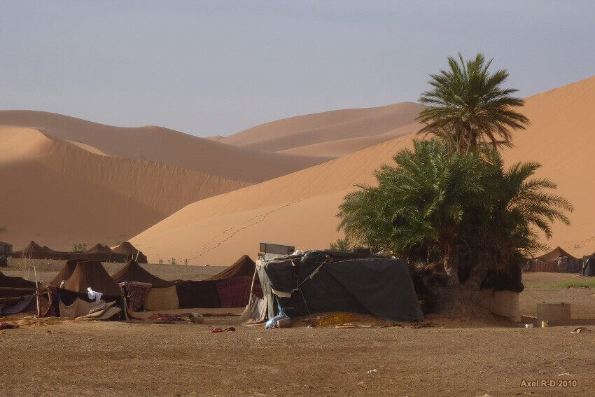 Bivouac dans le dC3A9sert - Que faire dans le désert de Dubaï ? Pour les amateurs de sensations fortes ou pour faire une escapade féerique