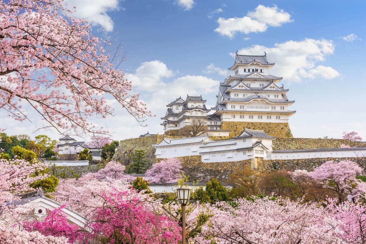 Château de Himeji - Où et quand aller voir les cerisiers en fleur au Japon : les 10 spots incontournables et les endroits moins connus