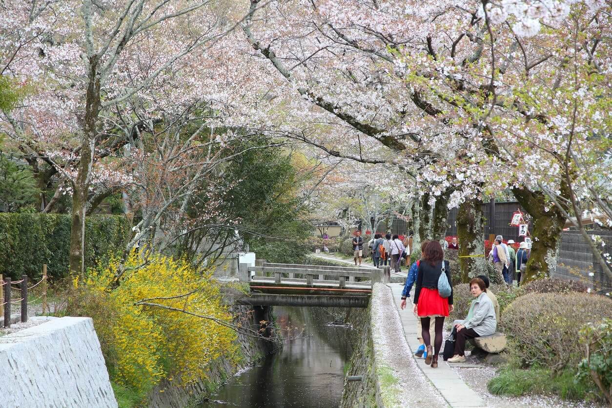 Sentier de la philosophie à Kyoto - Où et quand aller voir les cerisiers en fleur au Japon : les 10 spots incontournables et les endroits moins connus