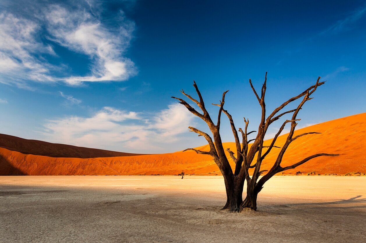 Sossusvlei dans le désert du Namib le Namibie - Les 20 plus beaux pays du monde : à visiter de toute urgence !