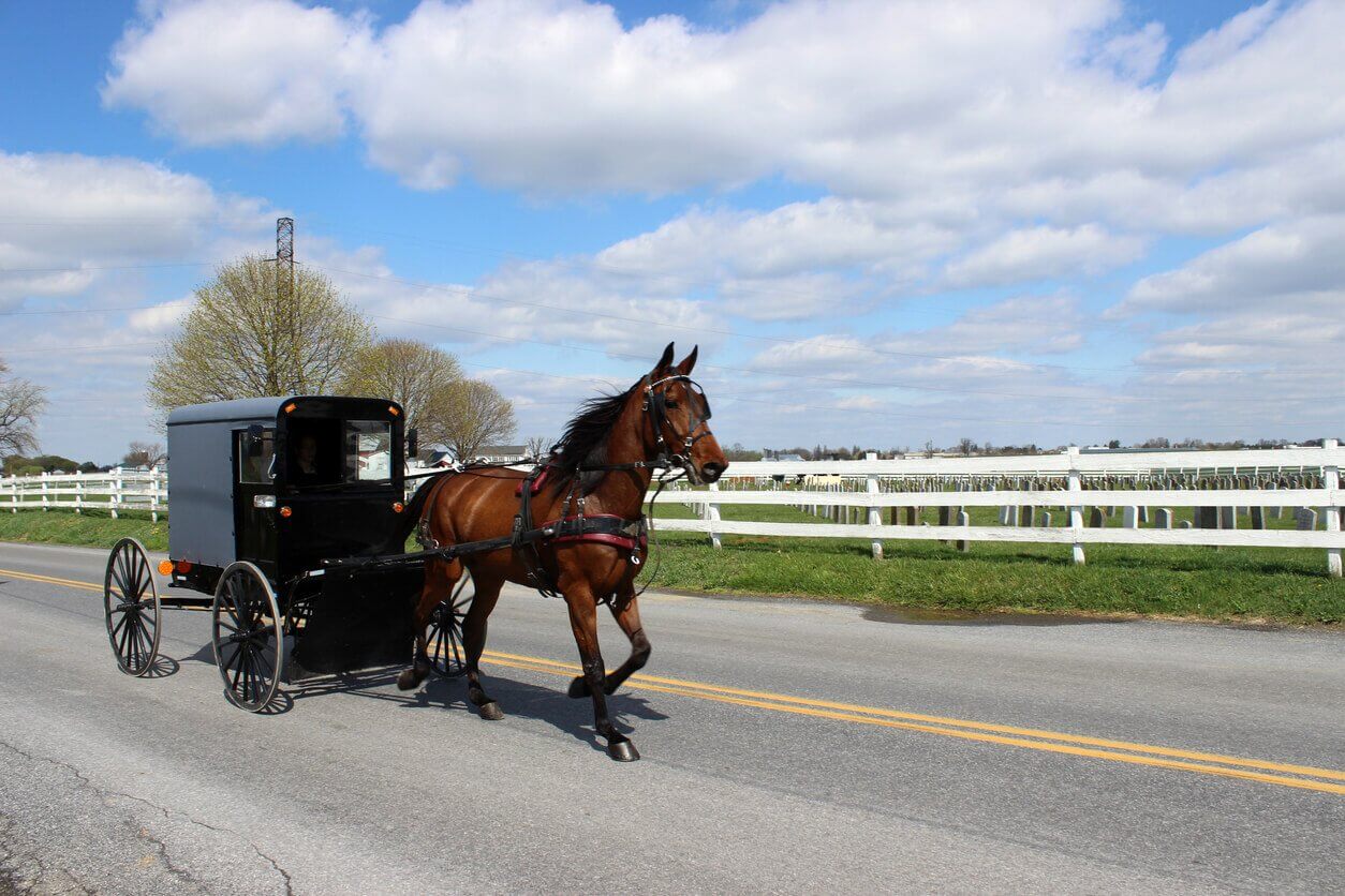 calèche Amish de Lancaster Pennsylvanie - Où aller sur la côte Est des États-Unis ? Notre TOP 14 des incontournables et des lieux secrets