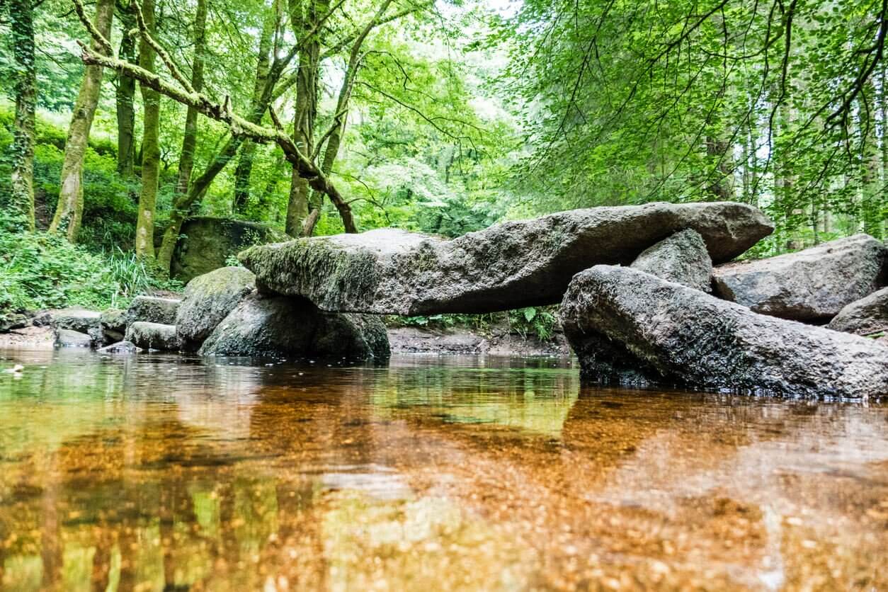 forêt de Brocéliande - Découvrez les 30 plus beaux paysages de France !