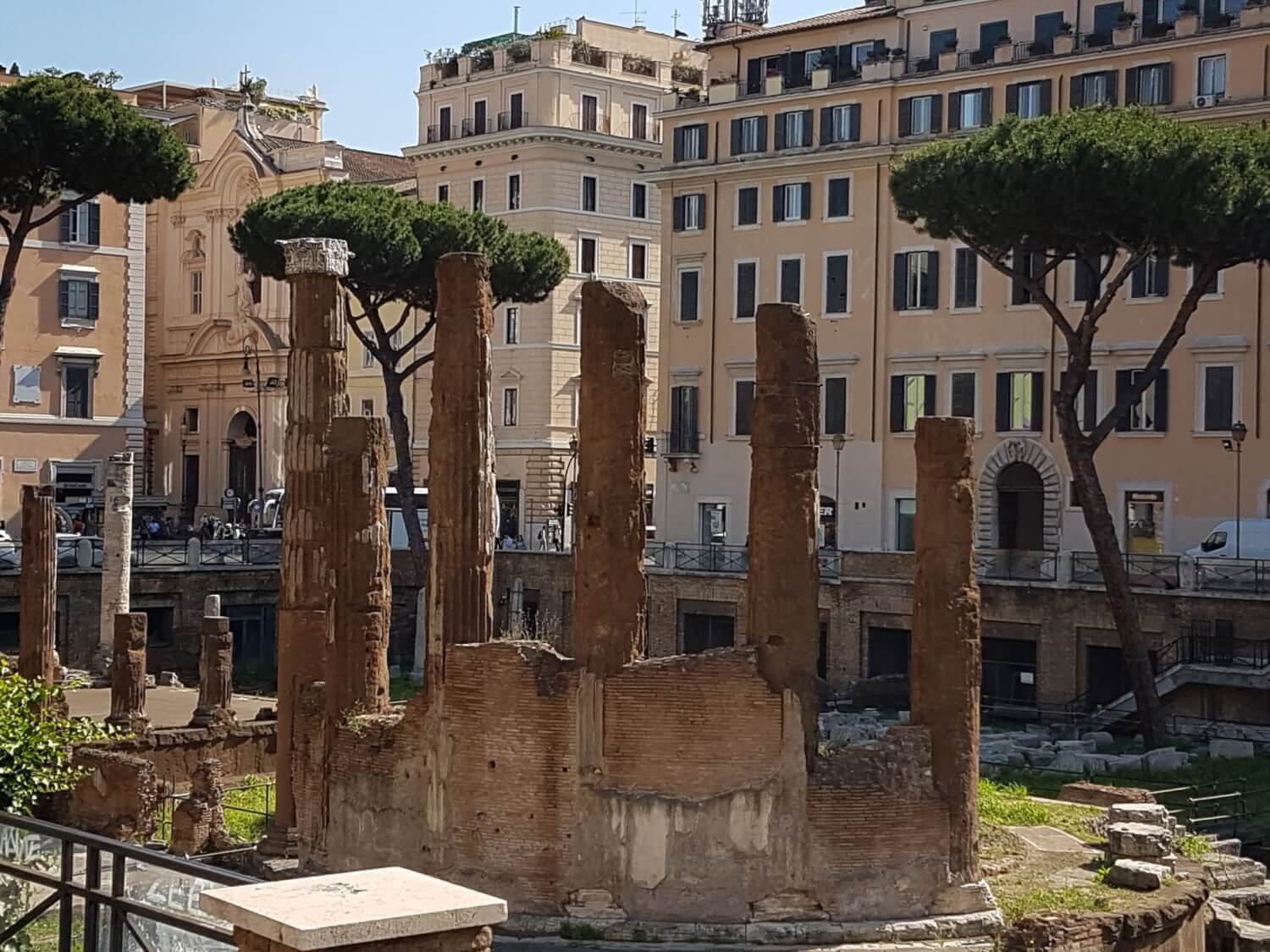 sanctuaire chats rome - Visiter Rome : 14 endroits incontournables et 8 lieux secrets à voir !