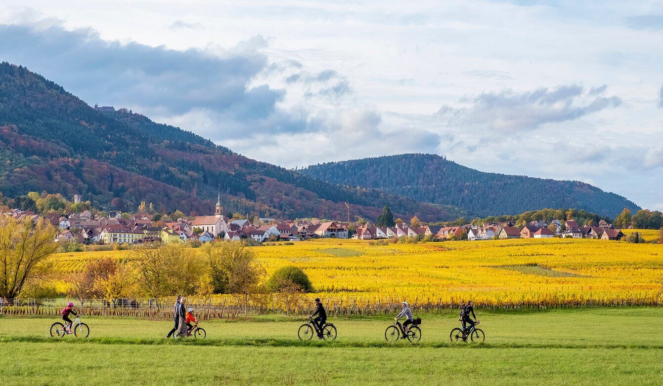 alsace velo - Les 8 plus beaux voyages à vélo à faire en France cet été !