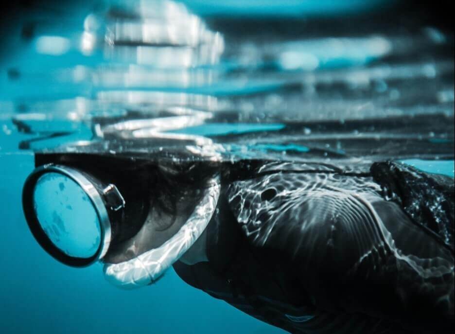 plongee sous marine tahiti polynesie e1668861197476 - LE guide pour savoir où et quand plonger en Polynésie française !