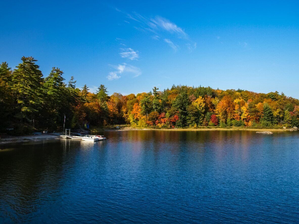 automne sur la rive du lac huron un beau paysage dautomne