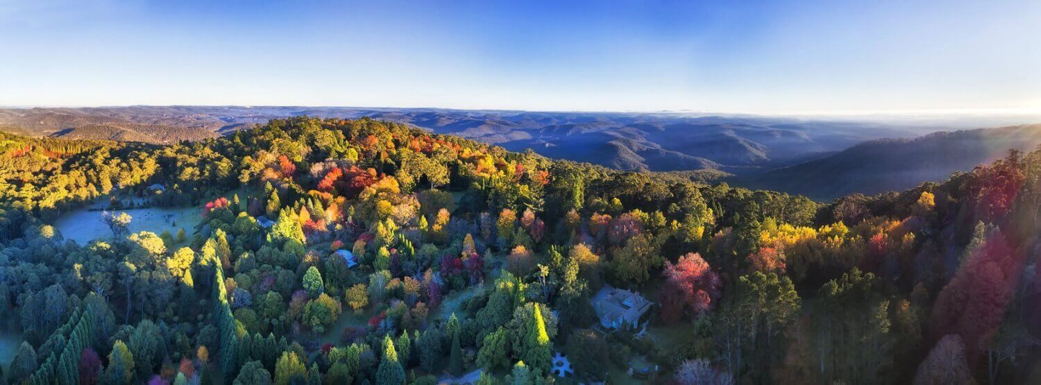 blue mountains national park automne
