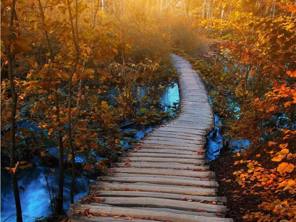 chemin en bois va dans la foret dans le parc national plitvice en croatie