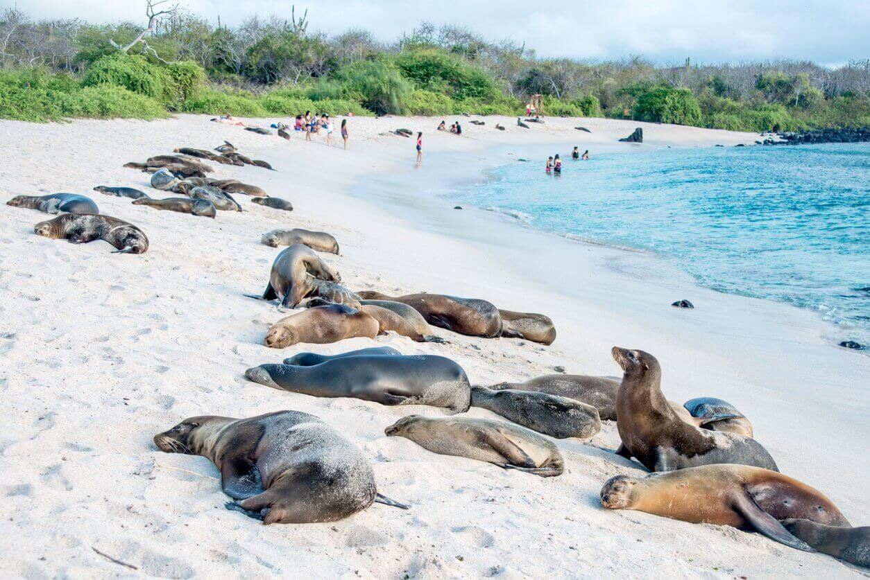 galapagos equateur