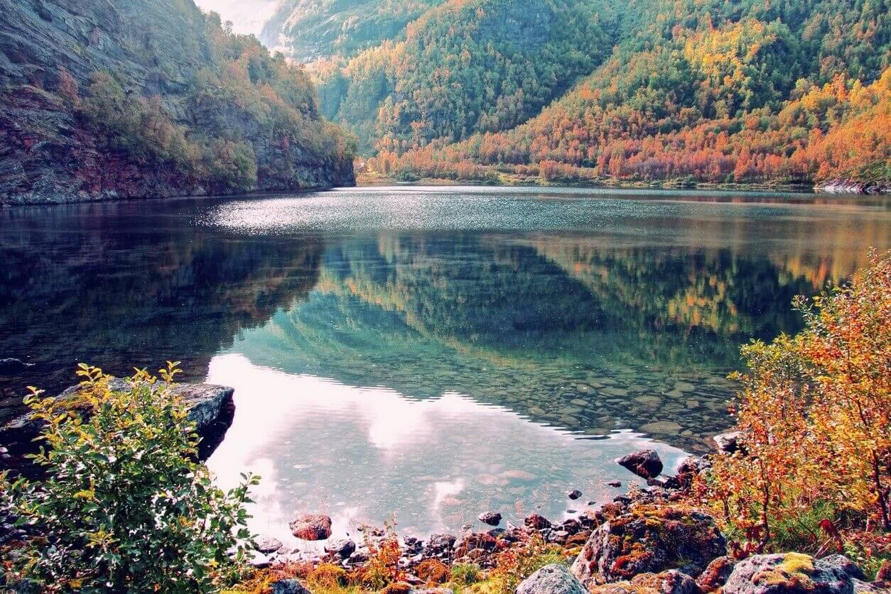 hardangervidda automne