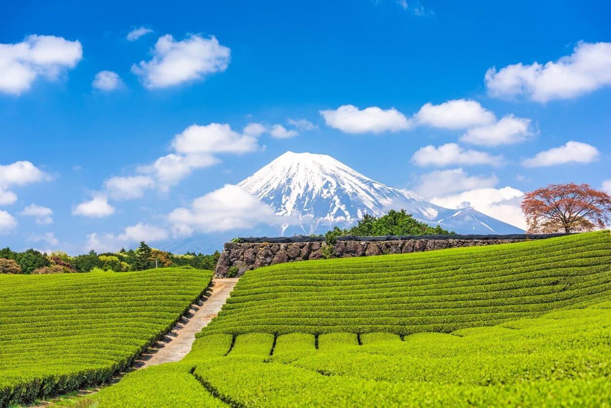 Les 15 plus beaux paysages du Japon 7 mont fuji shizuoka