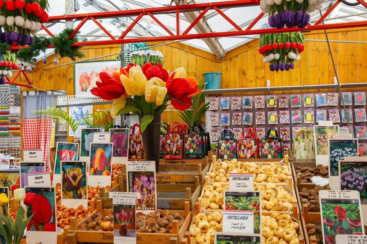 Visiter Amsterdam : Que faire et que voir ? 15 incontournables (et 7 endroits secrets) 7 bloemenmarkt a amsterdam