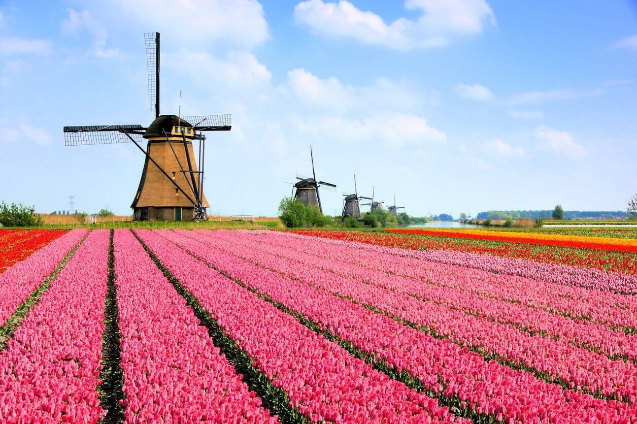 Visiter Amsterdam : Que faire et que voir ? 15 incontournables (et 7 endroits secrets) 15 parc keukenhof