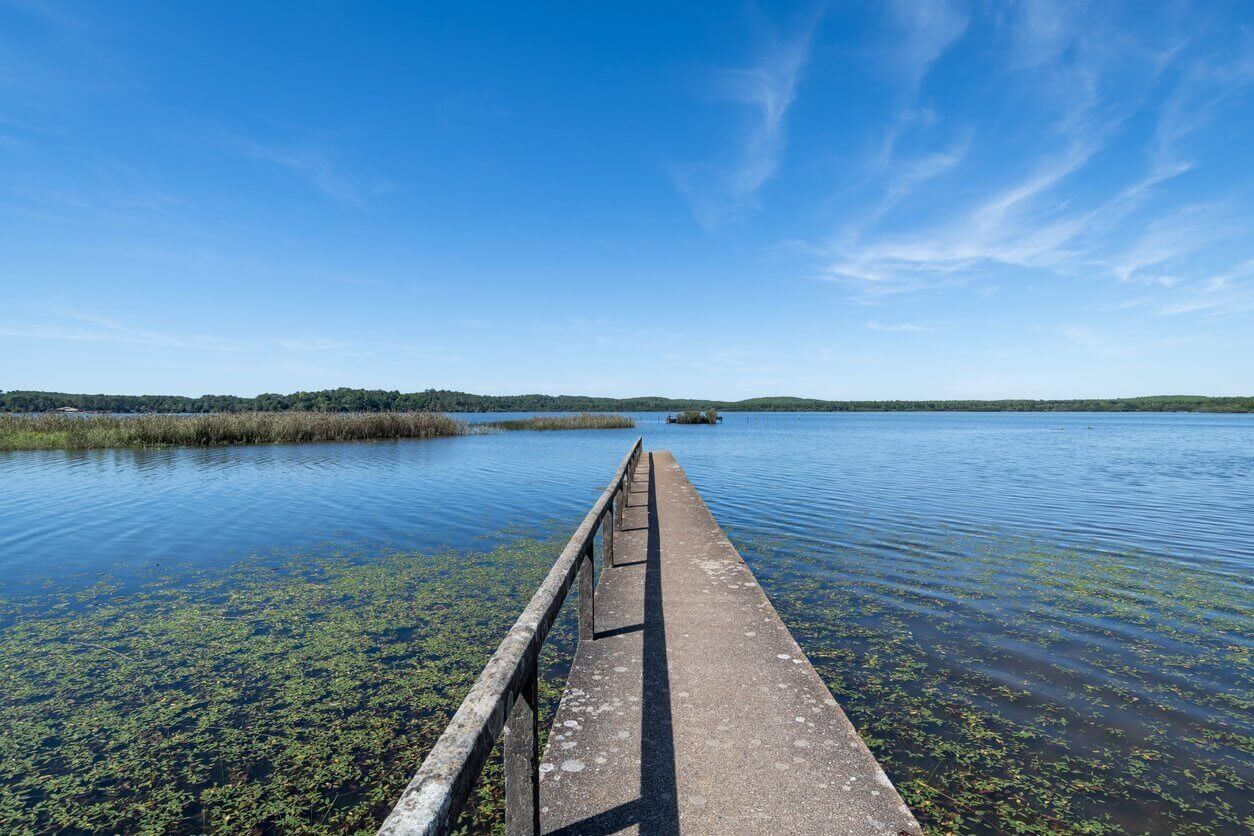 letang daureilhan entre mimizan et biscarrosse dans les landes