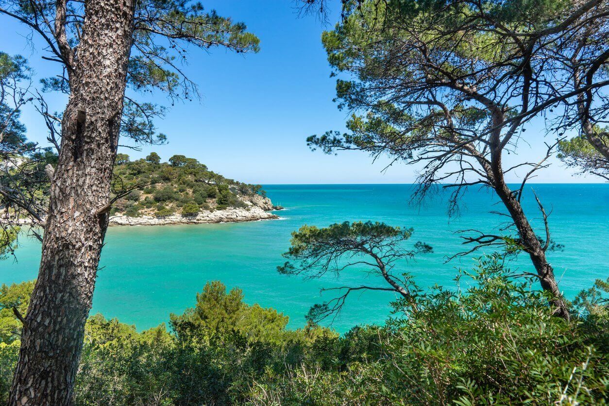 Visiter Les Pouilles dans le Sud de l'Italie : 11 incontournables à faire et à voir 9 parc national du gargano pouilles