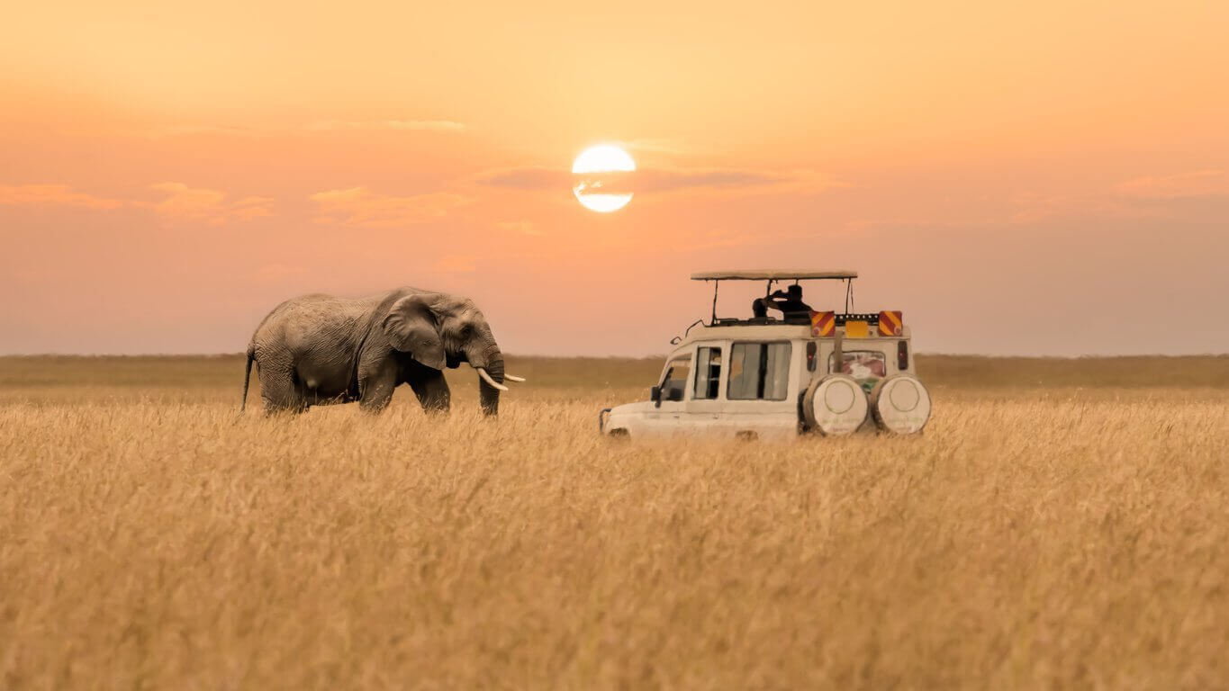 Où et quand faire un safari en Afrique ? Les meilleures destinations pour en prendre plein les yeux ! 3 reserve nationale du masai mara au kenya