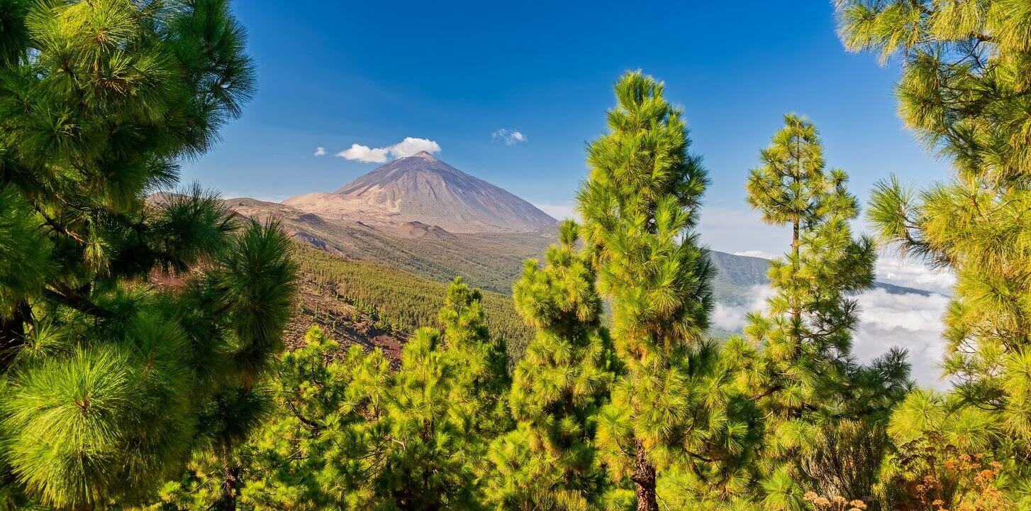 Tenerife ou Gran Canaria (Grande Canarie) : où partir en vacances ? 1 volcan teide