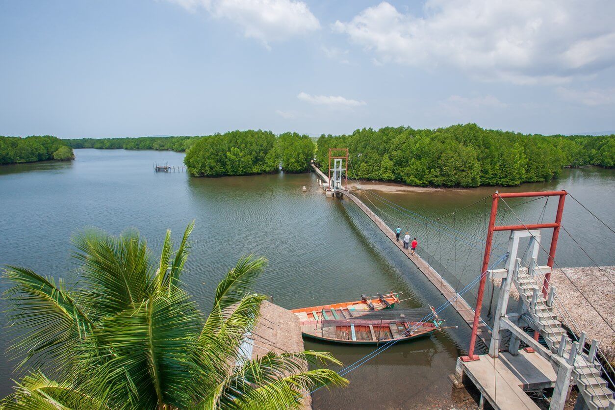 Aerial view, scenic landscape of mangrove forest, a group of tourists going over the suspension bridge over the river. Koh Kong, Cambodia.