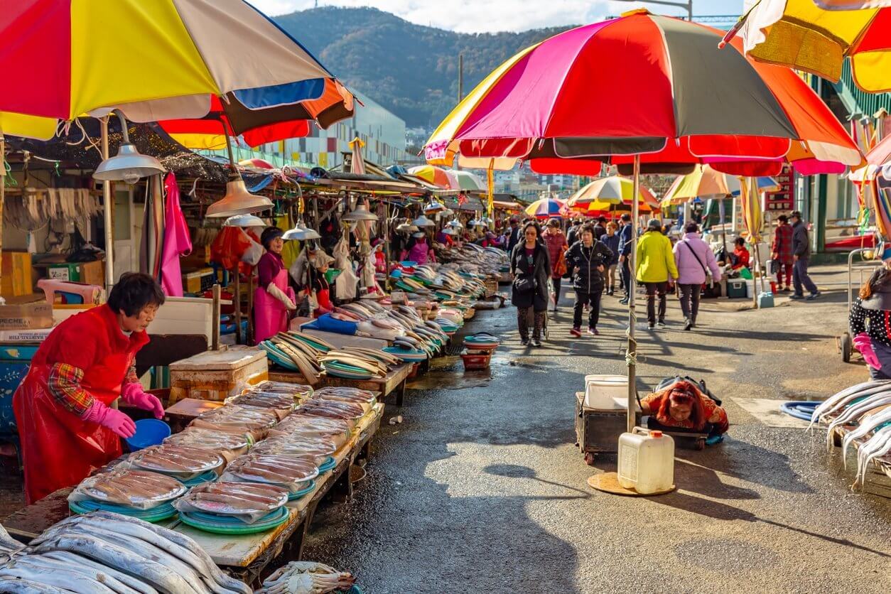 Fish market in Jagalchi in Busan,South korea.