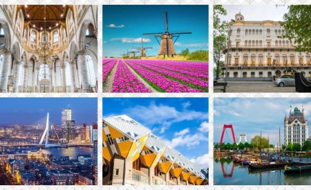 que faire à rotterdam aux pays bas