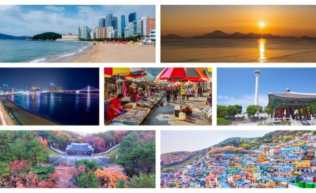 visiter busan corée du sud