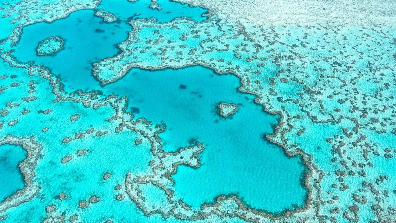 Où plonger chaque mois de l’année ? Les 12 meilleures destinations plongées ! 1 Grande Barrière de Corail dans le Queensland
