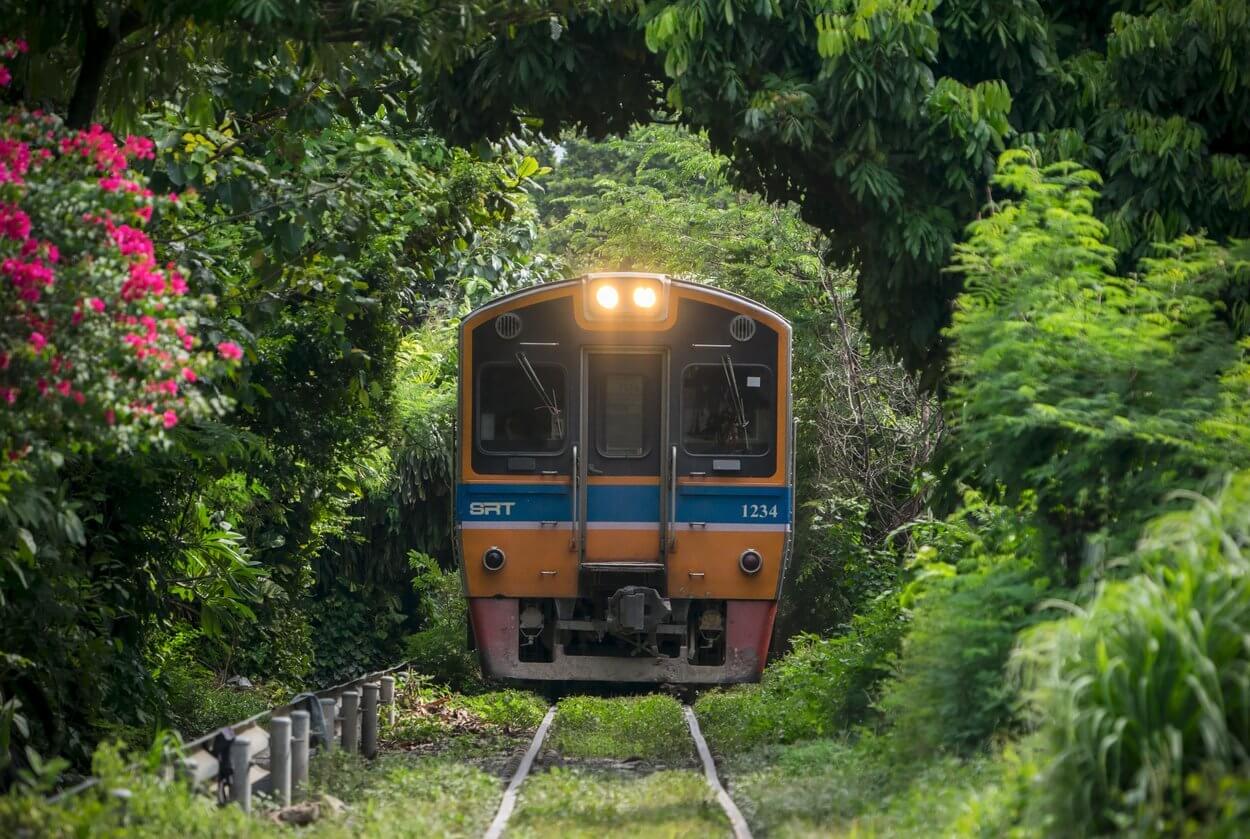 le train par le tunnel darbre bangkok voyage en thailande 12 lieux a bangkok hors des sentiers battus - 12 lieux à Bangkok insolites et hors des sentiers battus pour votre voyage en Thaïlande