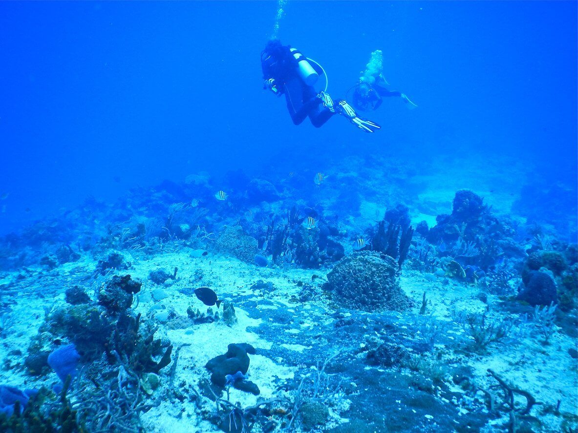 Où plonger chaque mois de l’année ? Les 12 meilleures destinations plongées ! 3 Scuba diving, Mexico